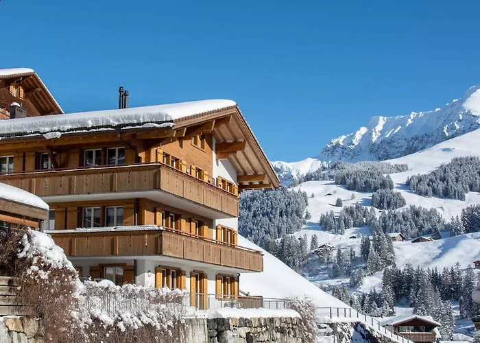 Schuetzenrain Dg Lejlighed Adelboden