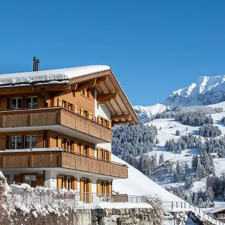 Schuetzenrain Dg Apartamento Adelboden